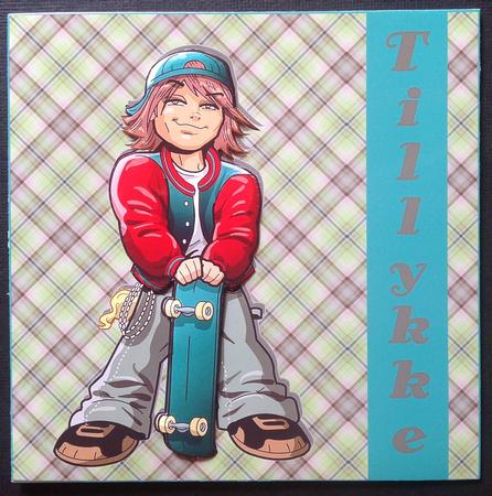 Plaid - Matching Winter Robin Watercolour Pyramid Topper by Gitte Jensen