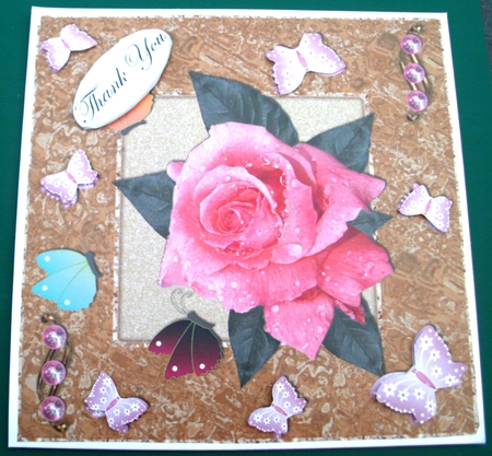 Pink Rose in Frame with Butterflies by Glennis Mitchell