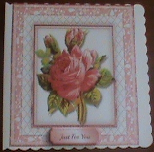 Beautiful Pink roses on a Lattace Frame  by Glennis Mitchell