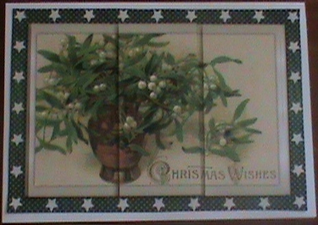 Christmas Mistletoe in Vase Panel Card by Glennis Mitchell