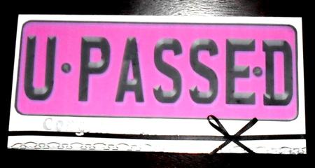 Large Dl You Passed Novelty Number Plate N 3D Decoupage by Glenys Doyle