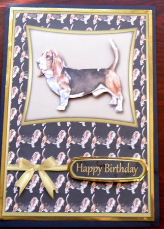 Basset Hound by Glenys Doyle