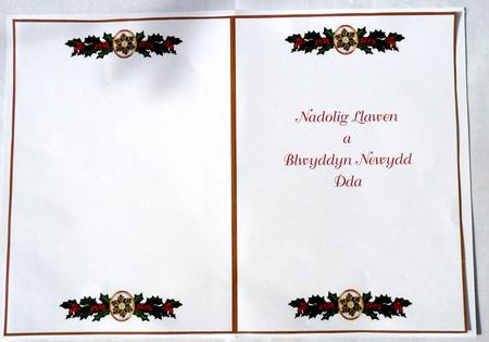 Holly & Berries Christmas Cardmaking Insert by Glenys Doyle
