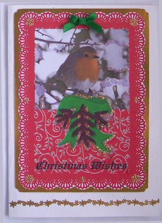 Pretty Robin on Red Lace A4 Card Front by Glenys Doyle