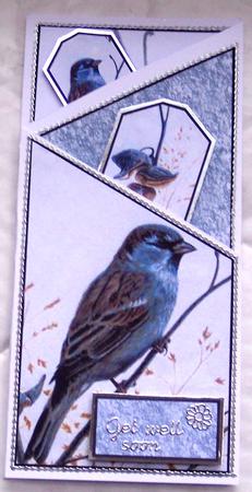 Blue Bird Cascade by Glenys Doyle