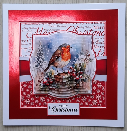 Winter Robins 1 by Glynis Preston