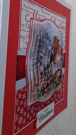 Winter Robins 1 by Glynis Preston