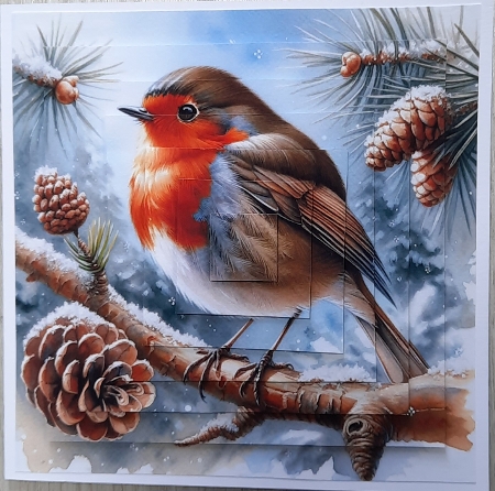 6x6 Christmas Robins 2 - Illustrations for Cardmakers & Designers  by Glynis Preston