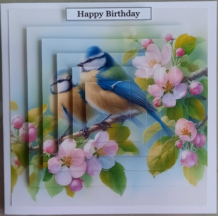 20+  garden birds by Glynis Preston