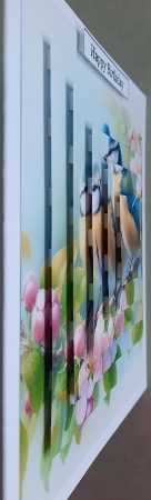 20+  garden birds by Glynis Preston