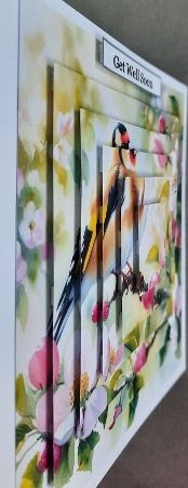20+  garden birds by Glynis Preston