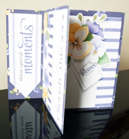 Pansy Pinwheel Card with Birthday & Blank Message Panels by Guinever Saunders