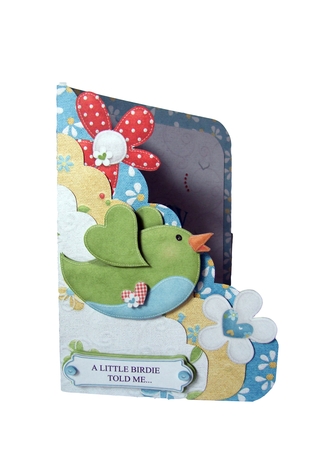 A Little Birdie Told Me...You Got Engaged Scalloped Edge Pocket Card Kit by Guinever Saunders