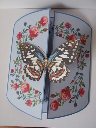Rambling Roses 3 Panel Gatefold Card Kit - Happy Anniversary by Guinever Saunders