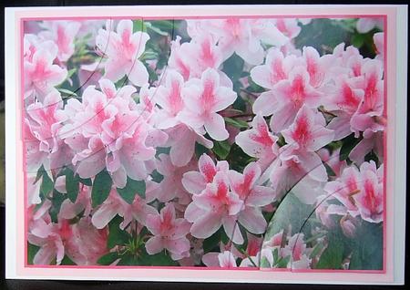 Pink and White Azalea 2 Corner Stacker by GWYNETH GEORGE