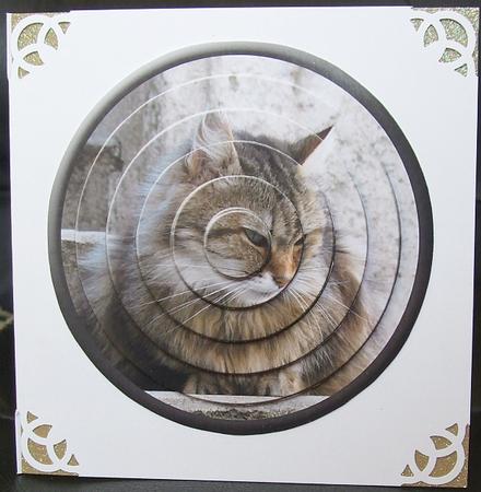 Circular Easy-position Pyramid - Contented Cat by GWYNETH GEORGE