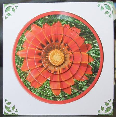 Circular Easy-position Pyramid - Gerbera by GWYNETH GEORGE
