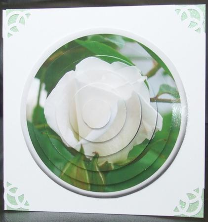 Circular Easy-position Pyramid - White Rosebud by GWYNETH GEORGE