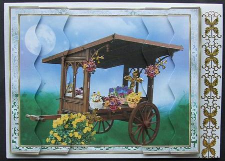 My Pansy Barrow by GWYNETH GEORGE