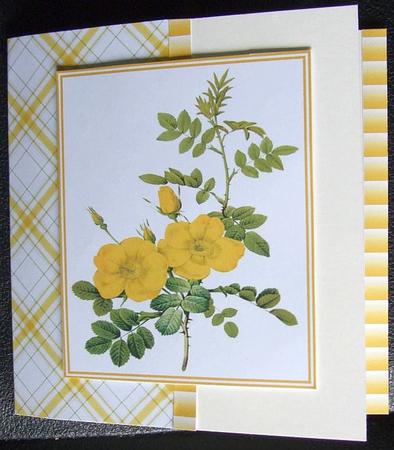 Pretty Wild Roses Toppers, Ribbon & Background by GWYNETH GEORGE