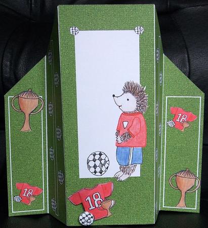 Spike the Hedgehog Playing Football Theatre Card by GWYNETH GEORGE