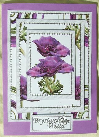 Anemone Toppers by GWYNETH GEORGE