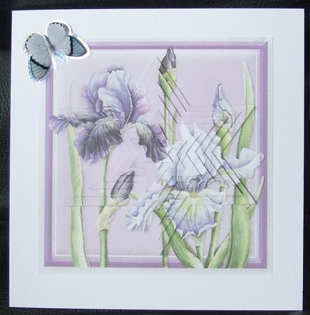 Iris Star by GWYNETH GEORGE