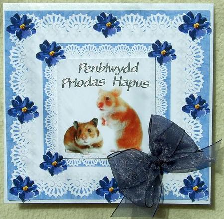 Hamster's African Violets Pearls & Lace Birthday S Etc. by GWYNETH GEORGE