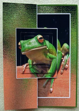 Frog in a Pond Foldback Card by GWYNETH GEORGE