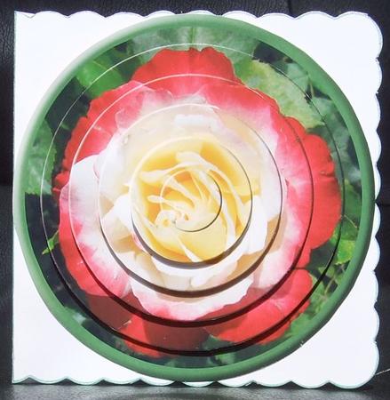 Circular Easy-position Pyramid - Rosa Double Delight by GWYNETH GEORGE
