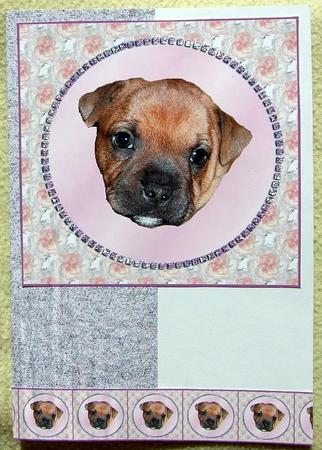 Puppy in Jewelled Ring by GWYNETH GEORGE
