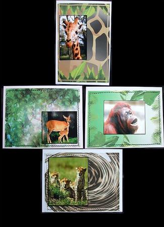 Wild at Heart by GWYNETH GEORGE