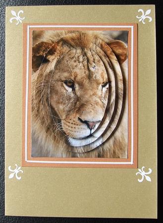 The Big Cats by GWYNETH GEORGE