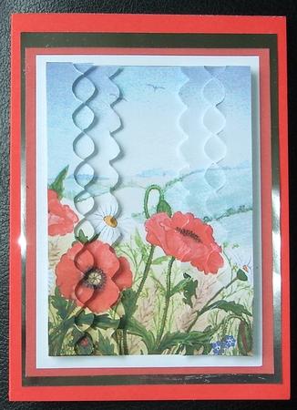 Poppy Field with Daisies & Forget Me Nots Birthday by GWYNETH GEORGE