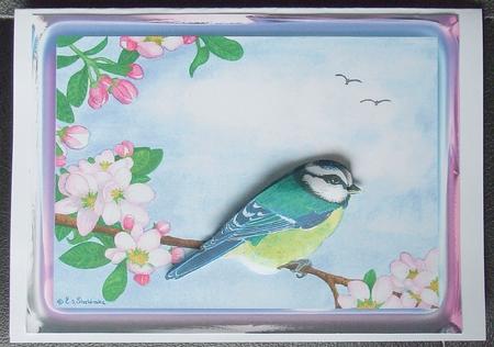 Blue Tit & Apple Blossom Bird Decoupage or Quick Card Front by GWYNETH GEORGE