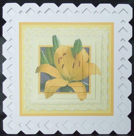 The Yellow Lilly by GWYNETH GEORGE