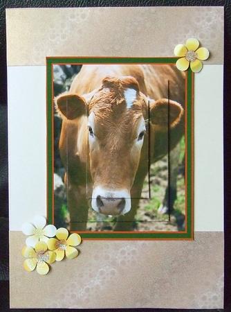 What a Cow by GWYNETH GEORGE
