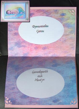 New Baby on Pastel Shawl Insert with Two Oval Spaces by GWYNETH GEORGE