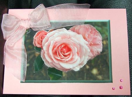 Trio of Pink Roses by GWYNETH GEORGE
