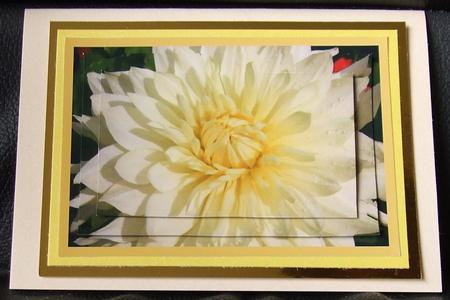 Yellow Flower by GWYNETH GEORGE