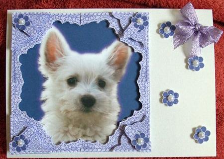 West Highland Terrier Puppy Dog 3D Lace Framed Decoupage by GWYNETH GEORGE