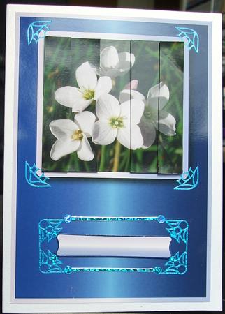 White Wild Flower by GWYNETH GEORGE