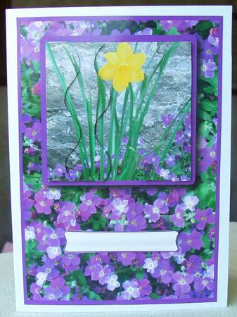 Daffodil with Purple Flowers by GWYNETH GEORGE