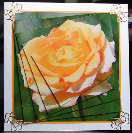 Yellow Rose Twisted Pyramid by GWYNETH GEORGE