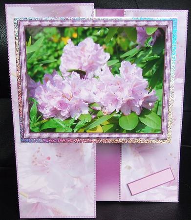 Purple Rhododendron by GWYNETH GEORGE