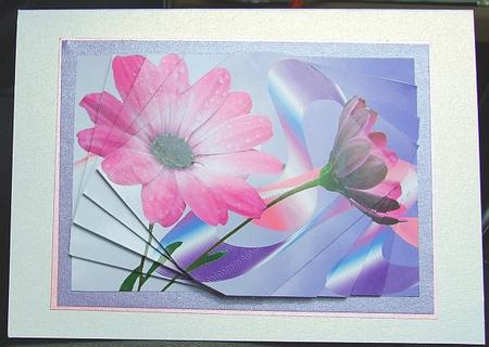 Peaceful Purple Flower by GWYNETH GEORGE