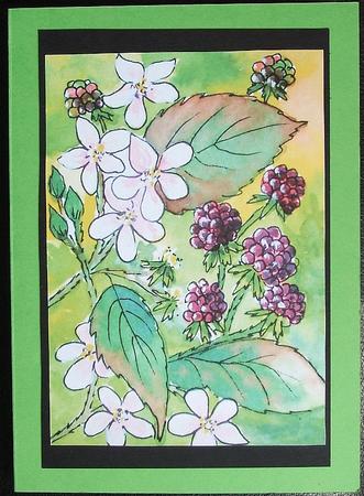 Blackberries and Apple Blossom 2 Watercolour Paintings by GWYNETH GEORGE