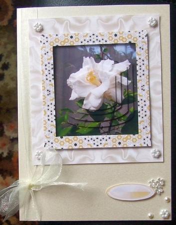 My Husbands Hawaii Plant by GWYNETH GEORGE