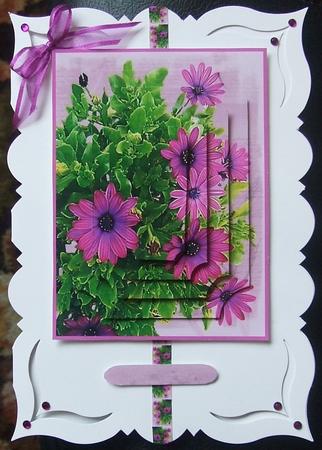 Spanish Daisies, Pyramid by GWYNETH GEORGE