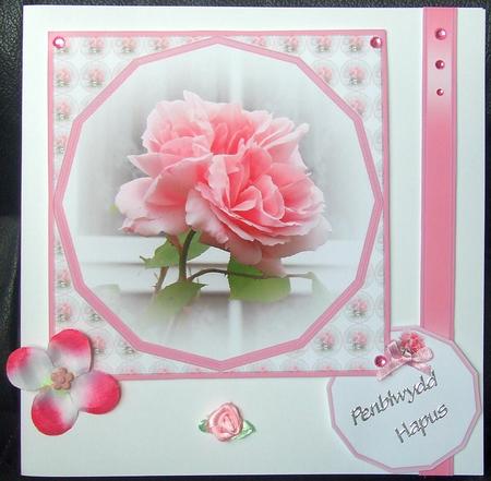 Rose in Hexagon Frame by GWYNETH GEORGE